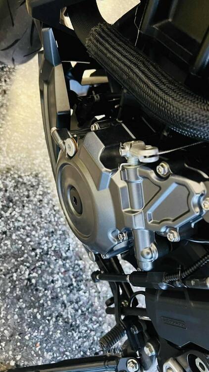 Suzuki GSX-8R (2024 - 25) (5)