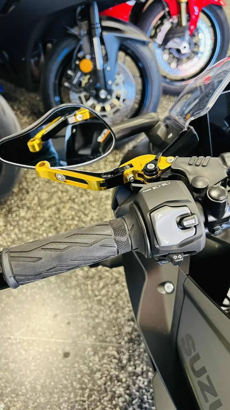 Suzuki GSX-8R (2024 - 26) (11)