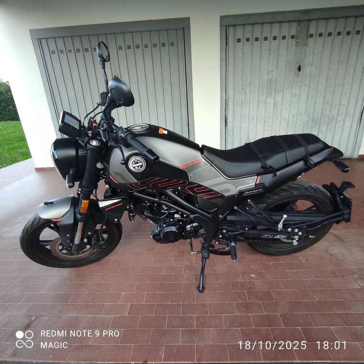 Benelli Leoncino 125 (2022 - 25) (3)