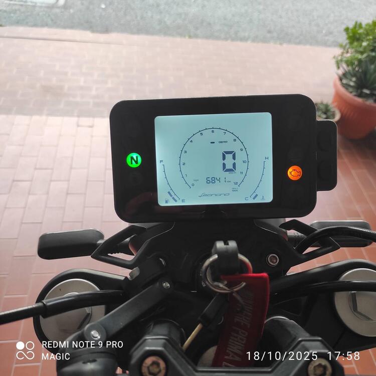 Benelli Leoncino 125 (2022 - 25) (4)