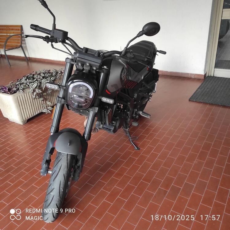 Benelli Leoncino 125 (2022 - 25) (5)