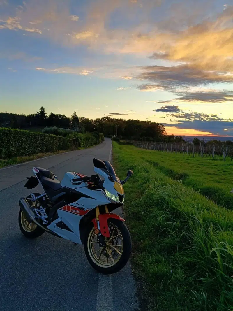 Yamaha YZF R125 (2023 - 26) (2)