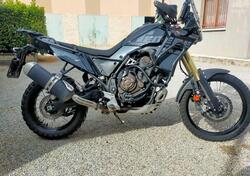 Yamaha Ténéré 700 (2022 - 24) usata