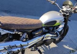 Triumph Scrambler (2006 - 17) usata