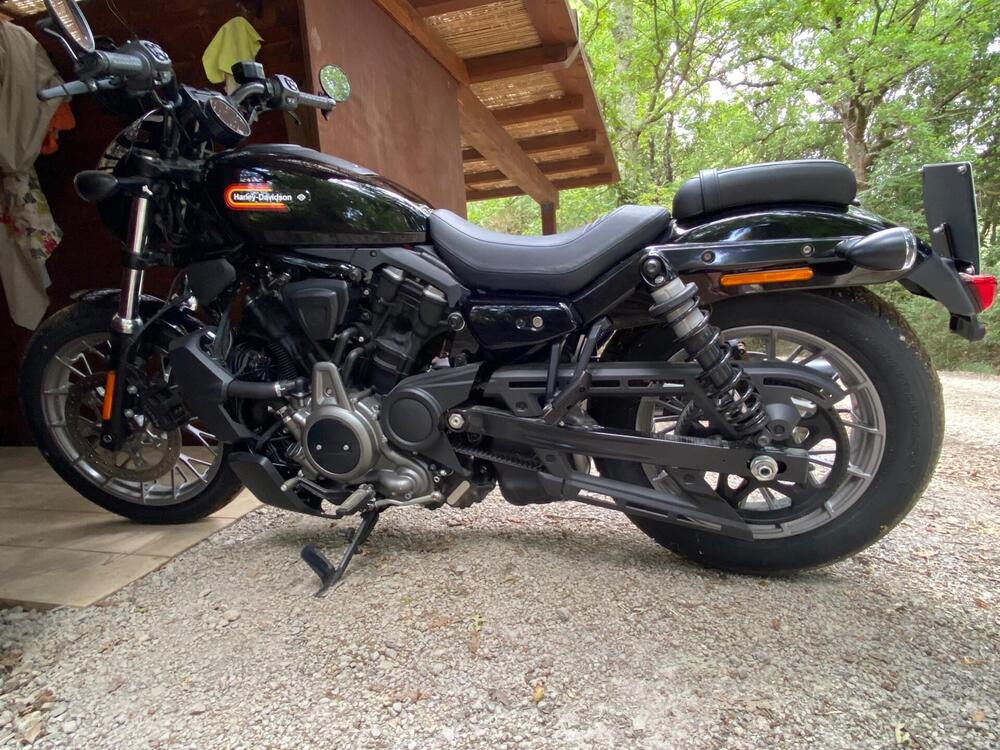 Harley-Davidson Nightster Special (2023 - 25)
