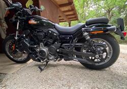 Harley-Davidson Nightster Special (2023 - 25) usata