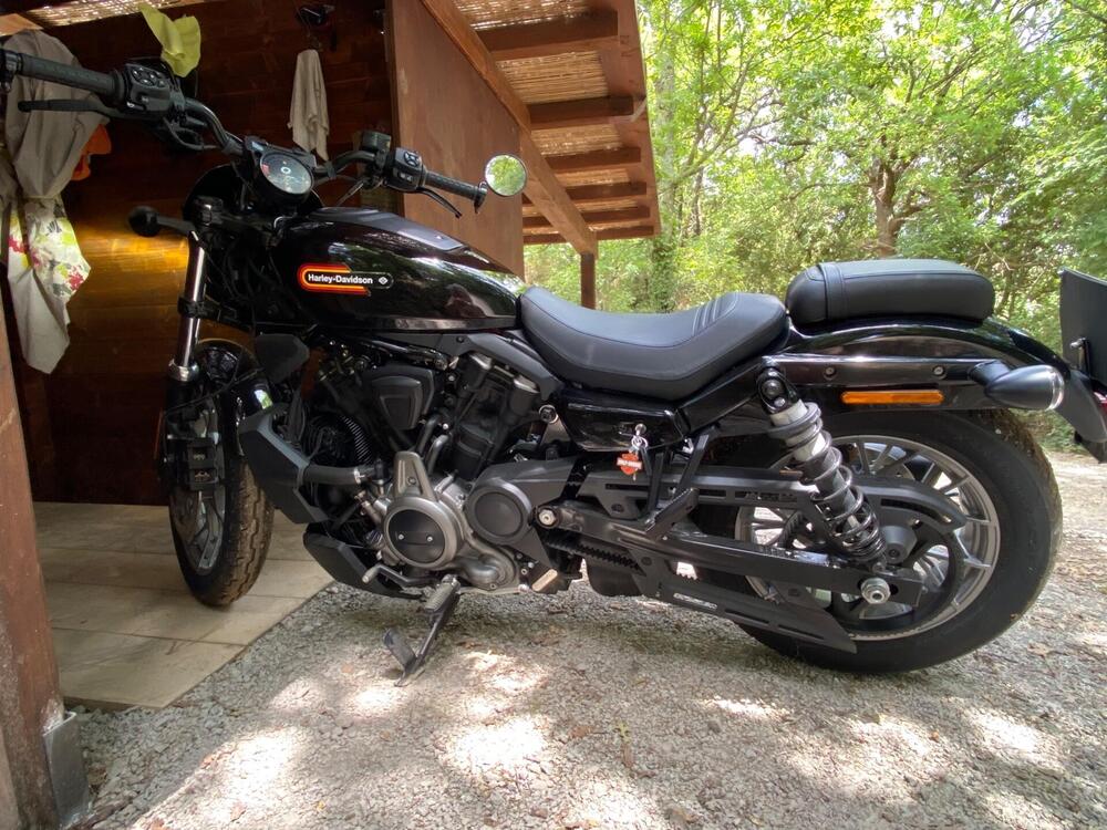 Harley-Davidson Nightster Special (2023 - 25) (4)