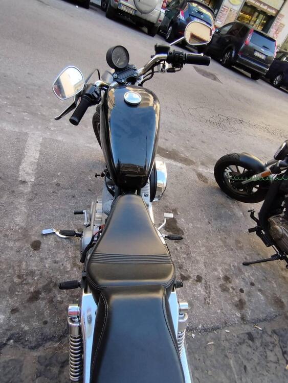 Harley-Davidson 883 (2006 - 07) - XL (2)