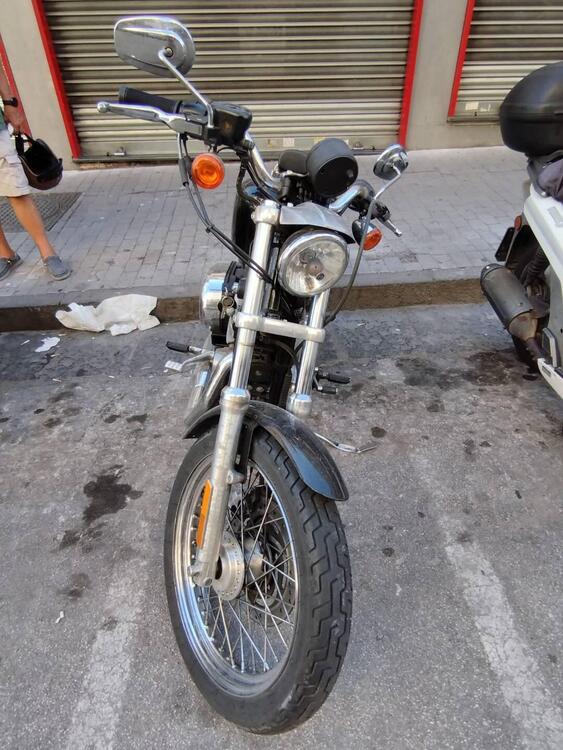 Harley-Davidson 883 (2006 - 07) - XL (5)