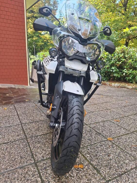 Triumph Tiger 800 XRx (2018 - 20)