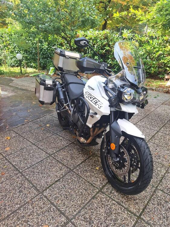 Triumph Tiger 800 XRx (2018 - 20) (2)