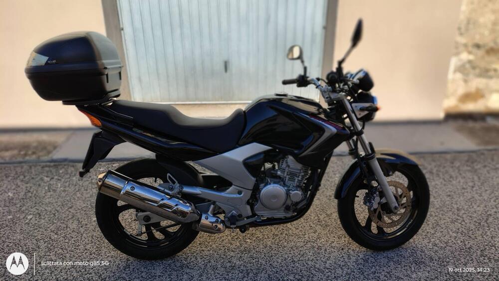 Yamaha YBR 250 (2006 - 13)