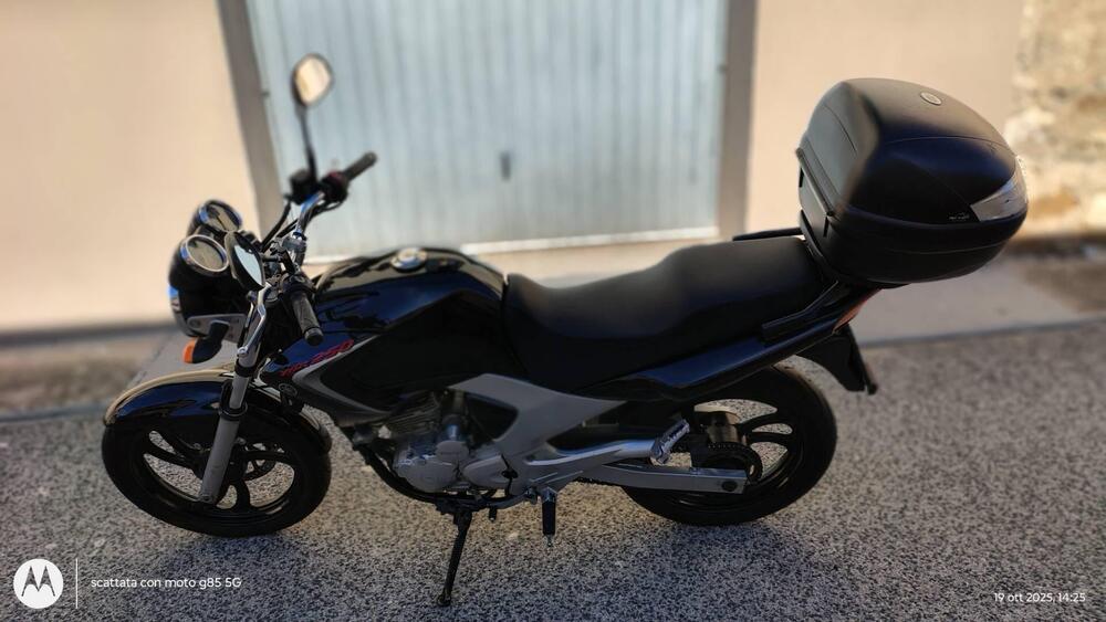 Yamaha YBR 250 (2006 - 13) (4)