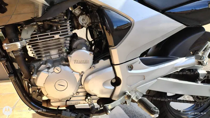 Yamaha YBR 250 (2006 - 13) (5)