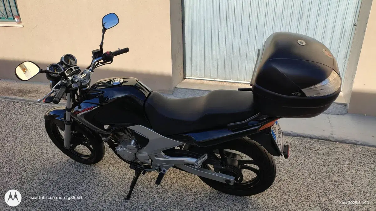 Yamaha YBR 250 (2006 - 13) (9)