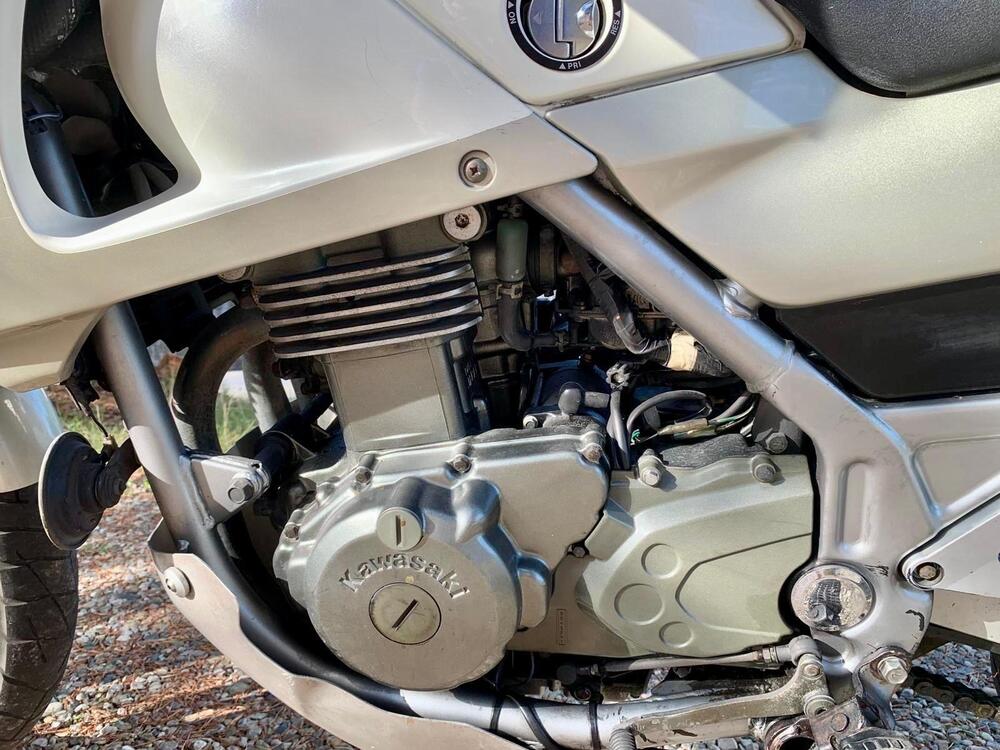 Kawasaki KLE 500 (1991 - 00) (5)