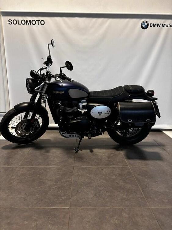 Triumph Street Scrambler 900 Gold Line Edition (2021 - 23) (2)