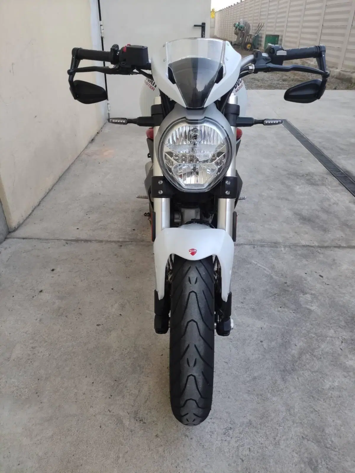 Ducati Monster 797 Plus (2019) (6)