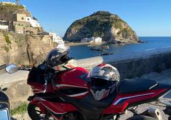 Honda CBR 500 R (2019 - 20) usata