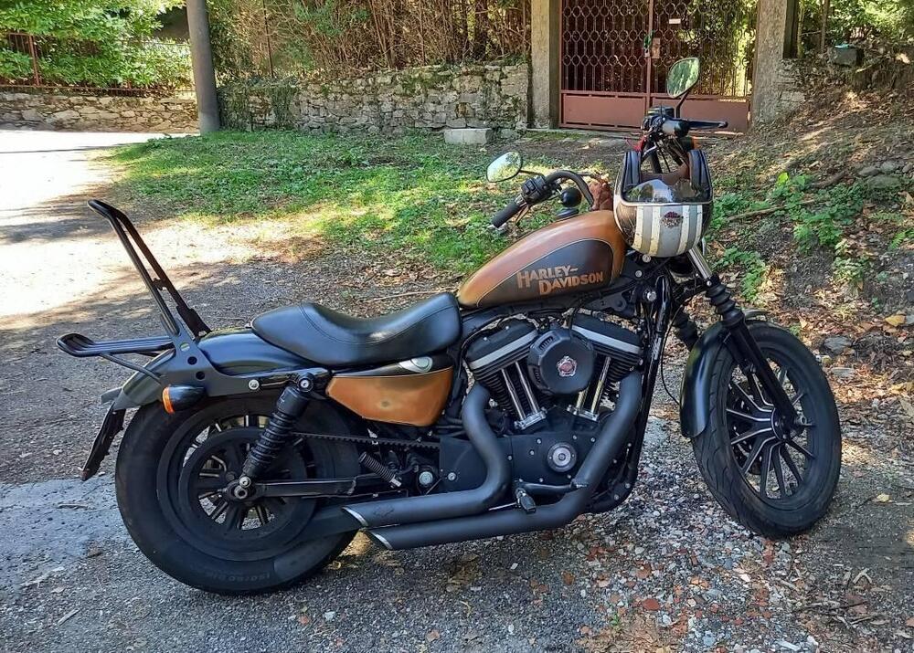 Harley-Davidson 883 Custom (2008 - 12) - XL 883C