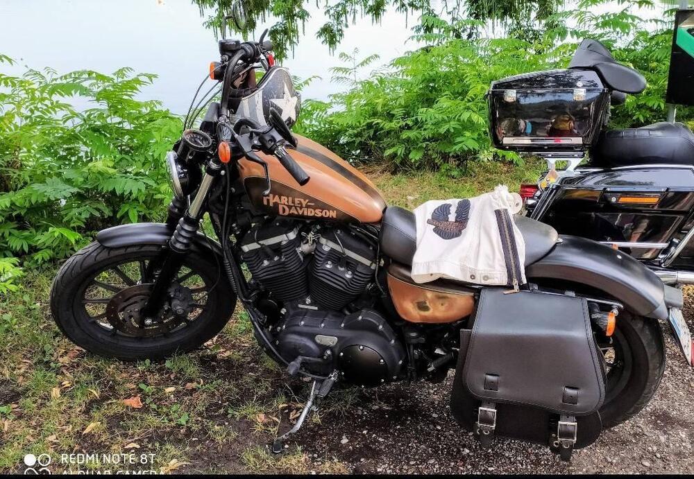 Harley-Davidson 883 Custom (2008 - 12) - XL 883C (2)