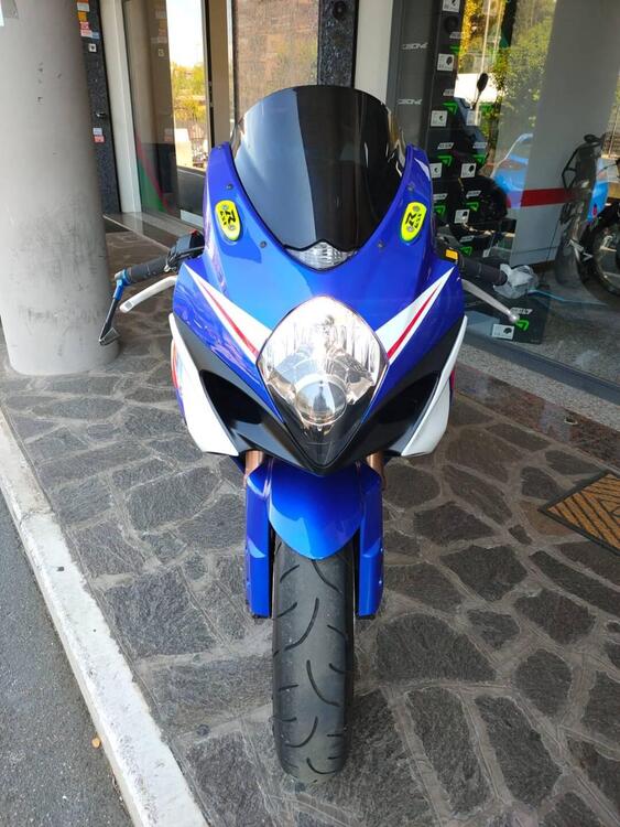 Suzuki GSX-R1000 (2009 - 11) (2)