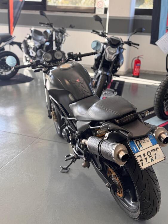 Ducati Monster 695 (2006 - 08) (3)