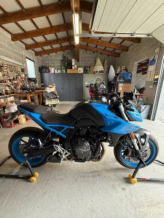 Suzuki GSX-8S (2023 - 24) (3)