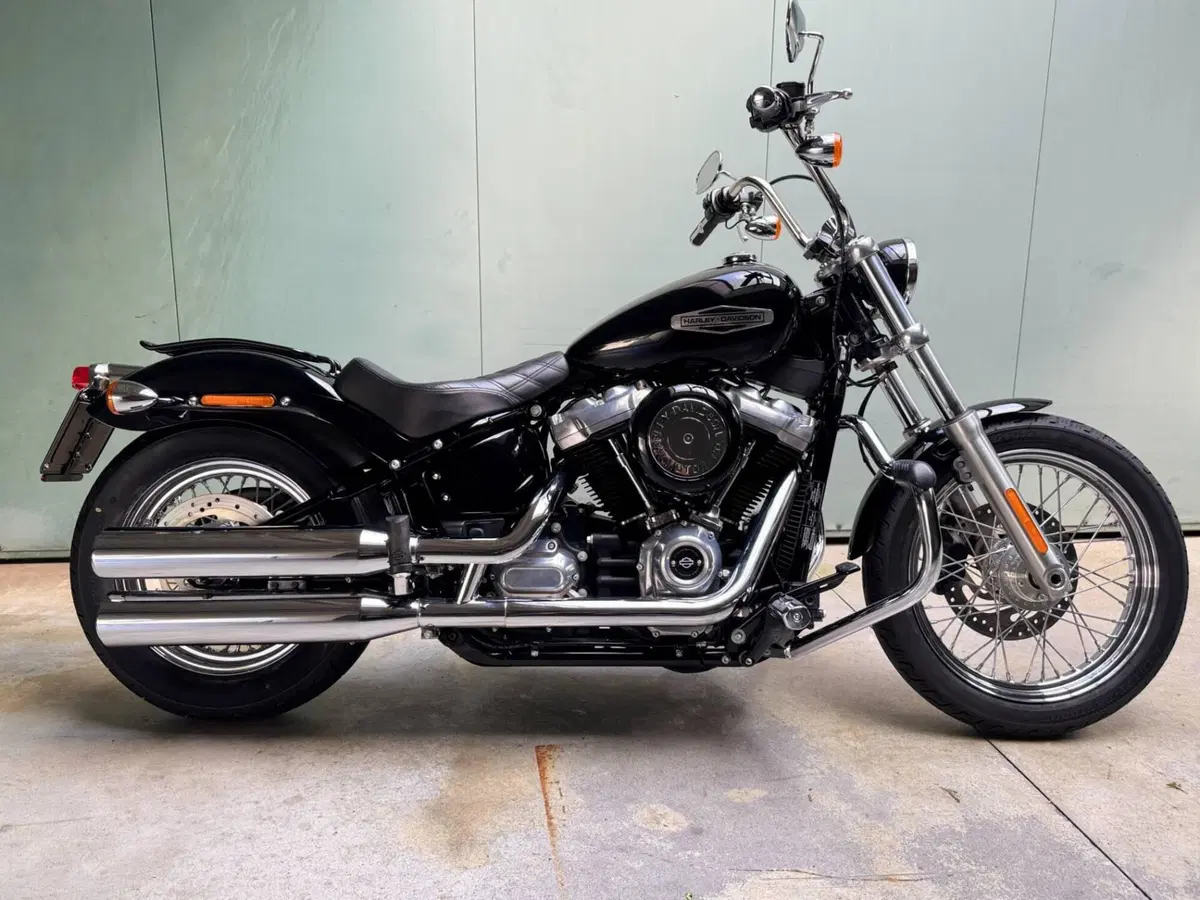 Harley-Davidson Softail Standard (2021 - 25)