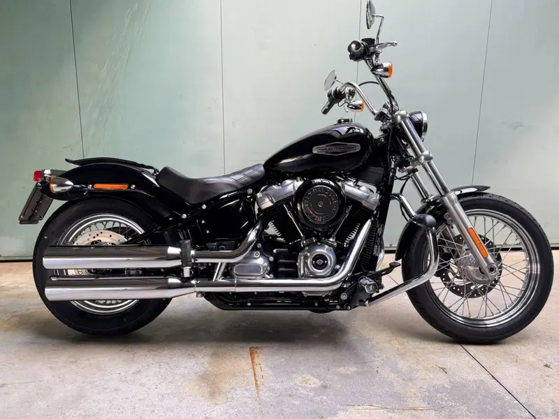 Harley-Davidson Softail Standard (2021 - 25)