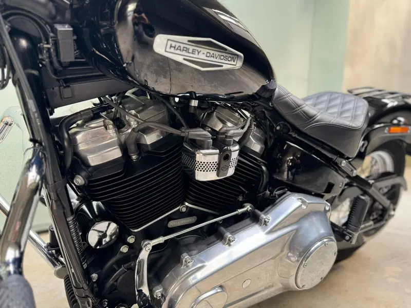 Harley-Davidson Softail Standard (2021 - 25) (6)