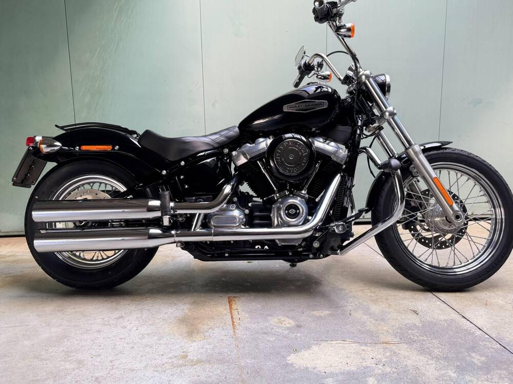 Harley-Davidson Softail Standard (2021 - 25) (2)