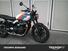 Triumph Speed Twin 900 (2025) (7)