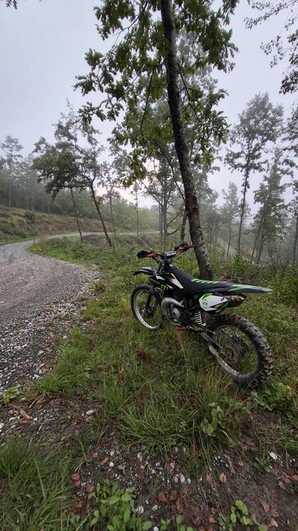 Betamotor RR 50 Enduro (2010 - 11) (5)