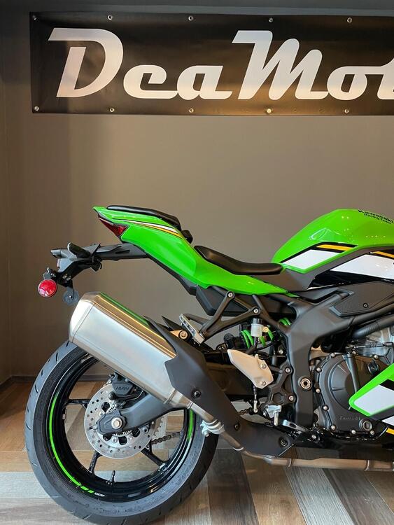 Kawasaki Ninja ZX-4R (2024 - 26) (2)