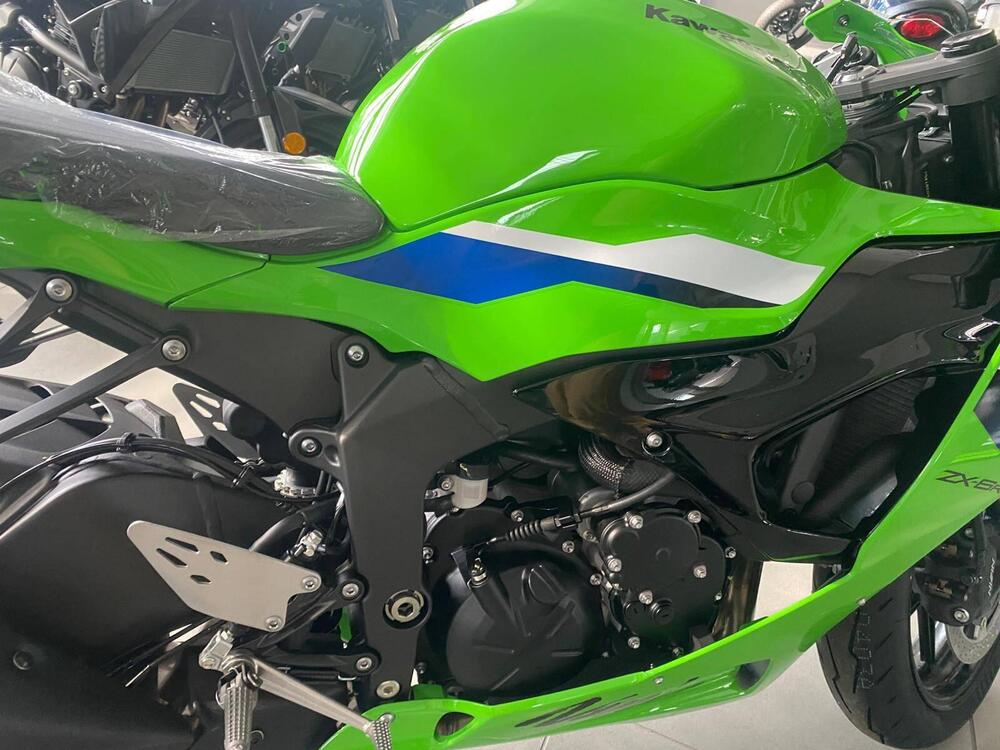 Kawasaki Ninja 636 ZX-6R (2024 - 26) (5)