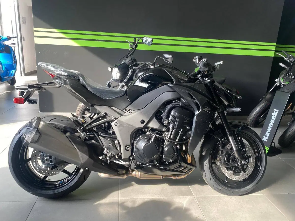 Kawasaki Z 1100 (2026)