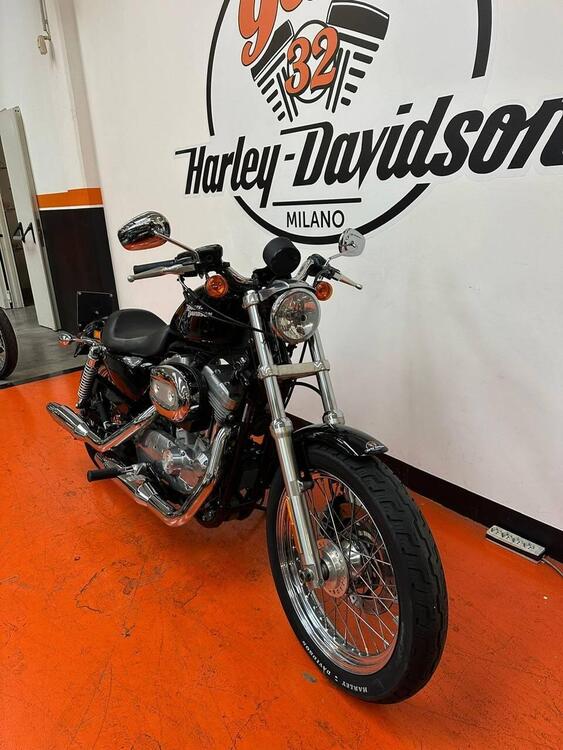 Harley-Davidson 883 (2008 - 09) - XL (3)
