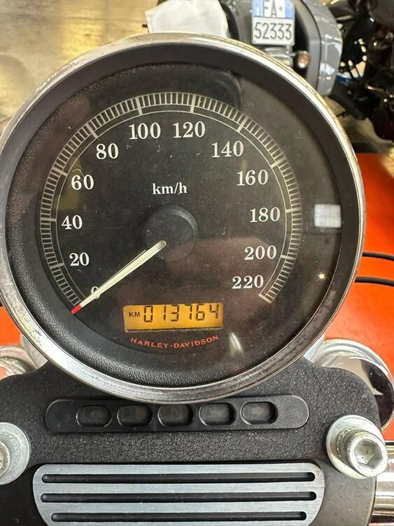 Harley-Davidson 883 (2008 - 09) - XL (4)