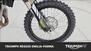 Triumph TF 250-X (2024 - 25) (18)
