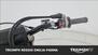 Triumph TF 250-X (2024 - 25) (8)