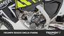 Triumph TF 250-X (2024 - 25) (22)