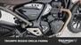 Triumph Scrambler 400 X (2024 - 25) (17)