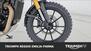 Triumph Scrambler 400 X (2024 - 25) (19)