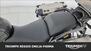 Triumph Tiger 1200 Rally Explorer (2022 - 23) (15)