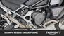 Triumph Tiger 1200 Rally Explorer (2022 - 23) (20)