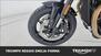 Triumph Speed Twin 1200 (2025) (21)