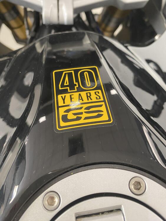 Bmw G 310 GS Edition 40 Years GS (2021) (2)