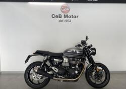 Triumph Speed Twin 1200 (2021 - 24) usata