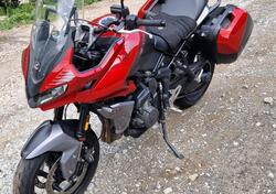 Triumph Tiger Sport 660 (2022 - 24) usata
